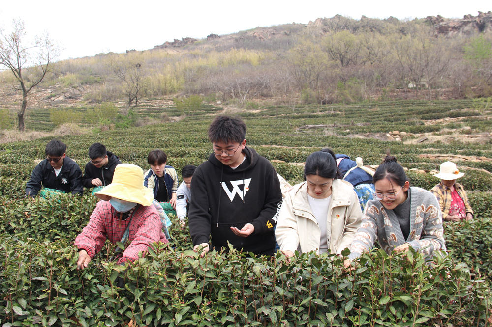 long8唯一官方网站登录茶具知识关于茶艺的基本知识海州区花果山街道：不误农时不