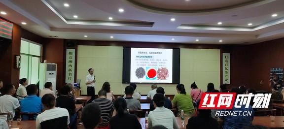 龙8long8唯一官方网站茶叶分类知识大全茶叶知识茶叶加工培训湘西州开展茶叶新技