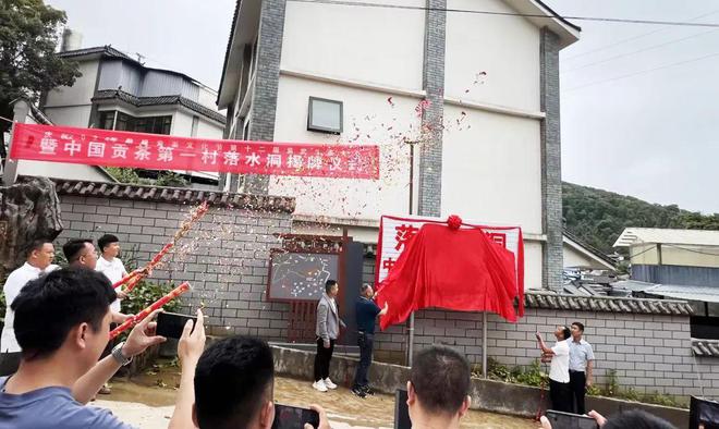 龙8long8，高端普洱茶领军茶企携手中国贡茶第一村共铸产地名片